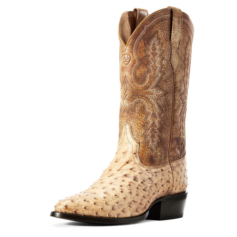 Ariat Western: Circuit R Toe Botas Western Hombre - Marrones (MOFKA7826)